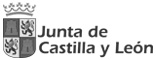 Junta de Castilla y León