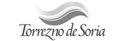 Asociación de Fabricantes del Torrezno de Soria